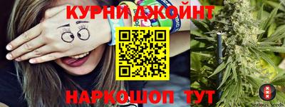 СК Бийск