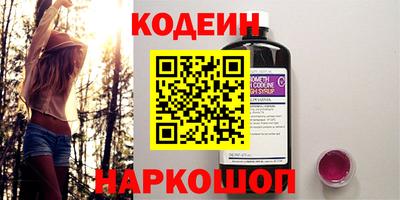 СК Бийск
