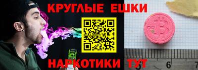 СК Бийск