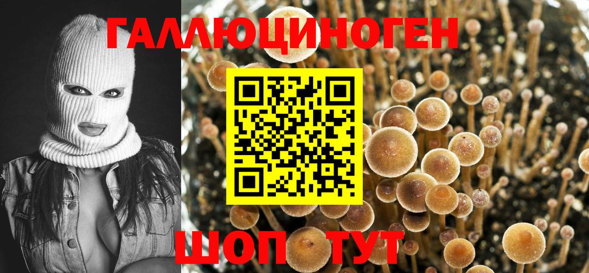 Галлюциногенные грибы GOLDEN TEACHER Ковров