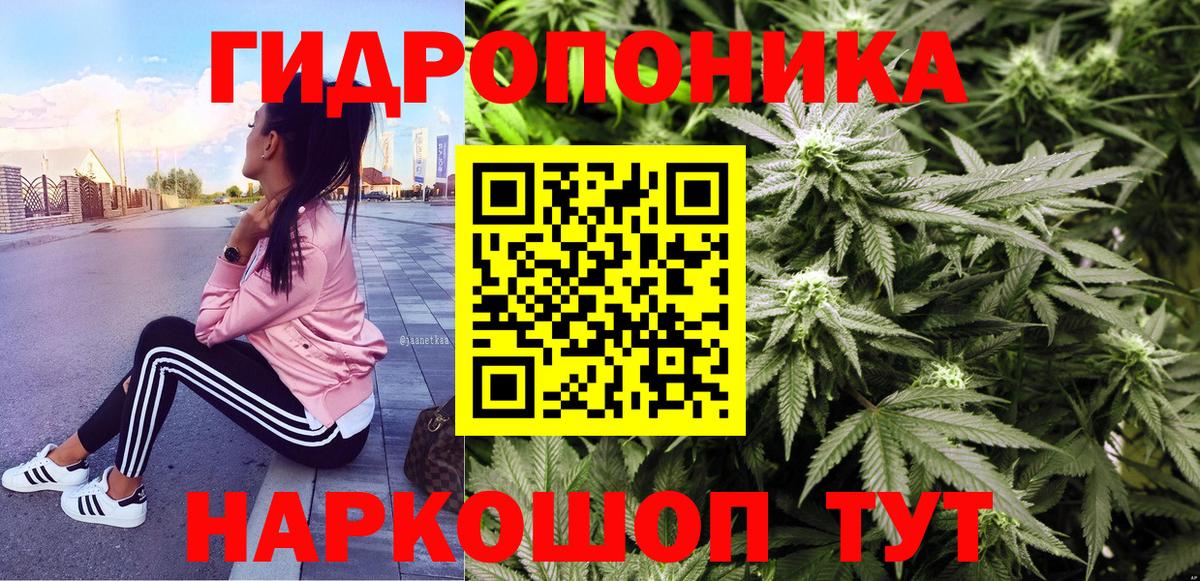 Ковров  Конопля конопля  Канабис индика  Вход с VPN  Шишки марихуана ГИДРОПОН 